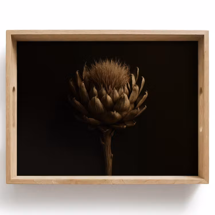 Vassoio - Marrone scuro - Fiore - Struttura - Carciofo — 1