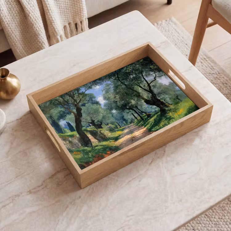 Vassoio - Sentiero - Alberi - Ombra - — 2