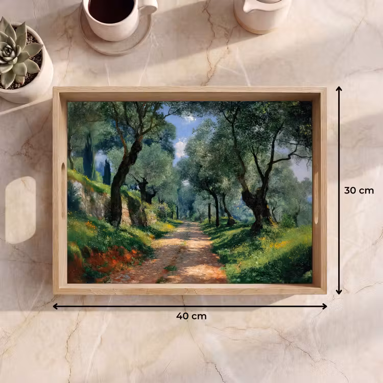 Vassoio - Sentiero - Alberi - Ombra - — 7