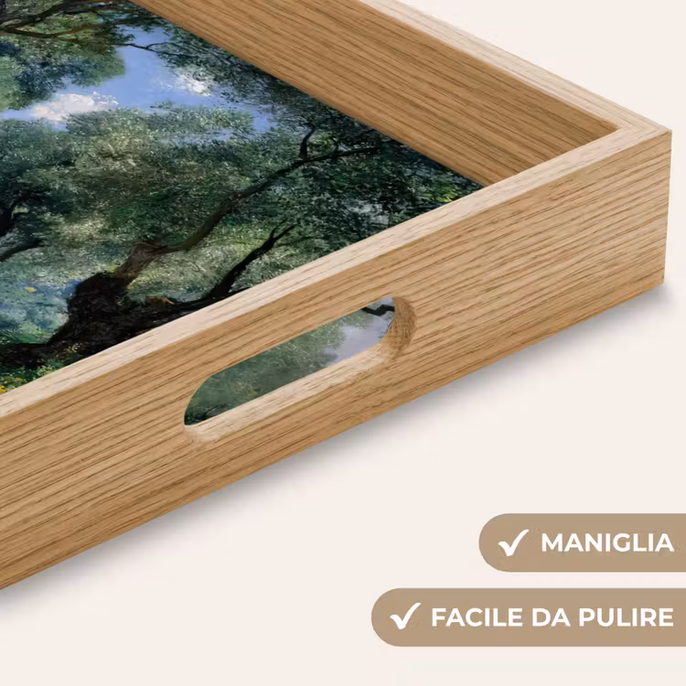 Vassoio - Sentiero - Alberi - Ombra - — 8