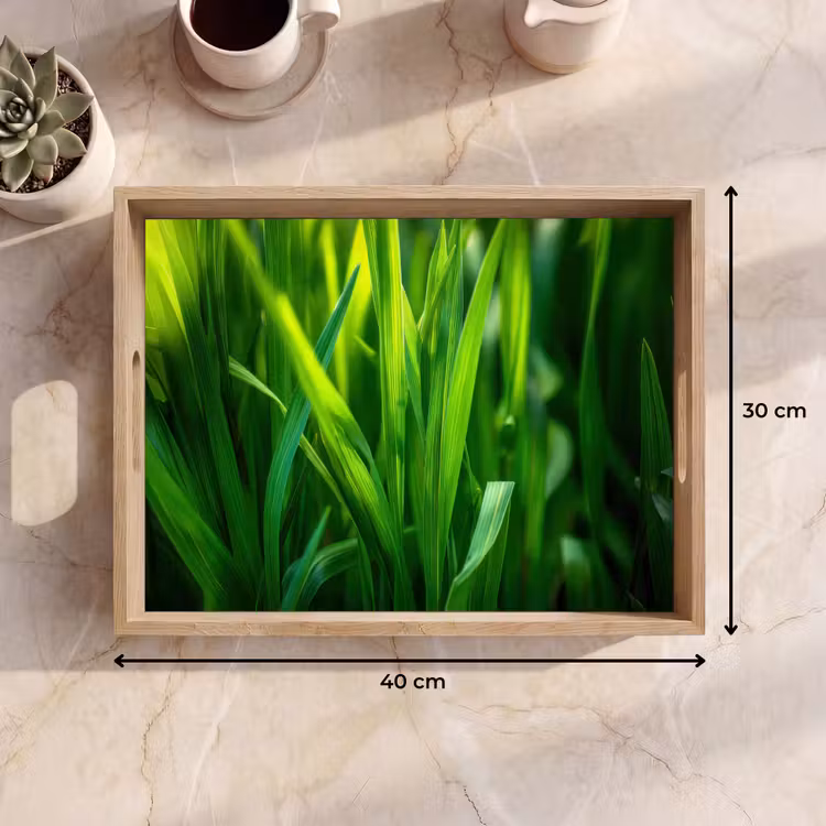 Vassoio - Fili d'erba - Luce - Verde — 7
