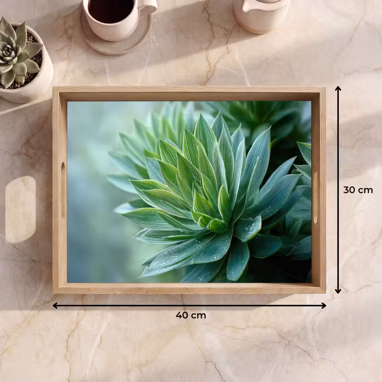 Vassoio - Foglia - Pianta - Verde - Struttura — 7