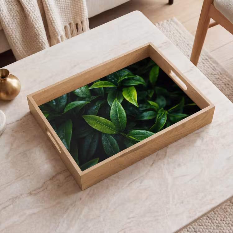 Vassoio - Foglie - Gocce di pioggia - Luce - Verde — 2