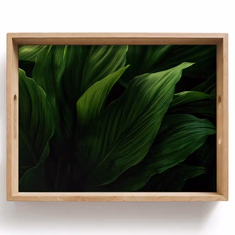 Vassoio - Foglie - Ombra - Verde - Texture — 1