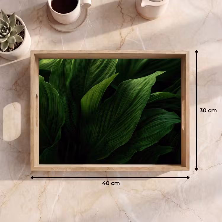 Vassoio - Foglie - Ombra - Verde - Texture — 7