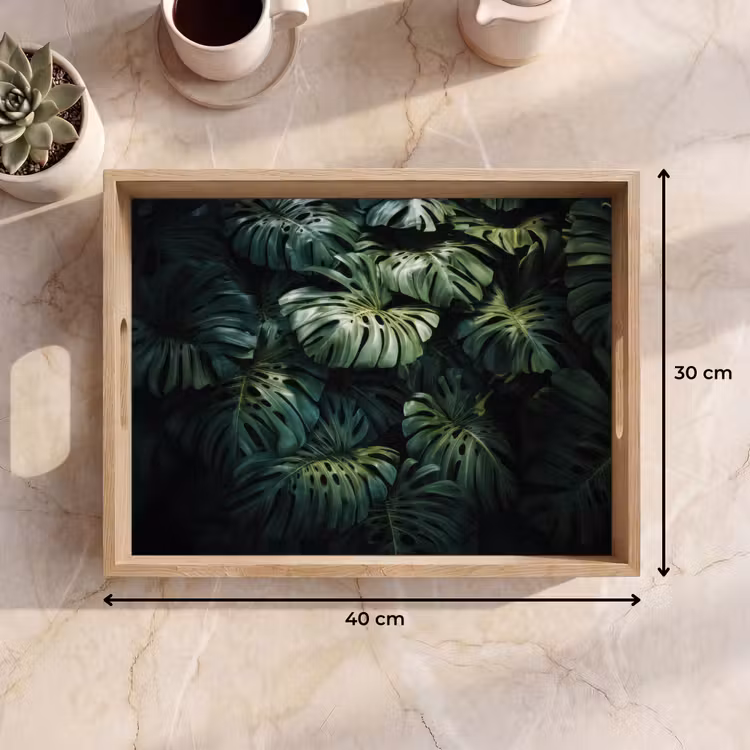 Vassoio - Pianta - Monstera - Luce — 7