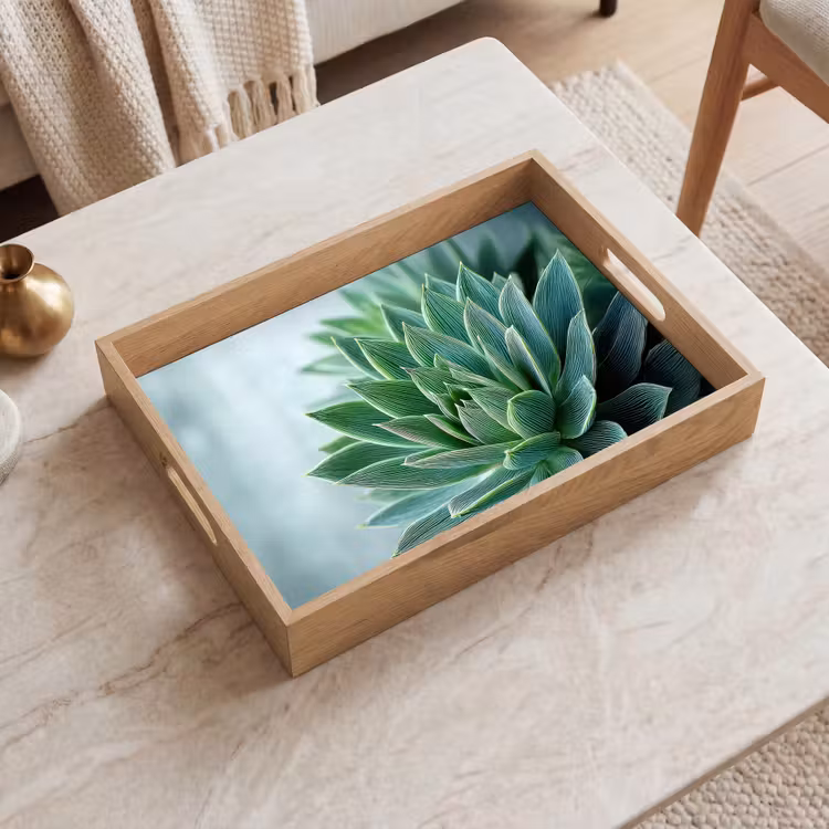Vassoio - Succulente - Foglie - Verde - Sfumato — 2