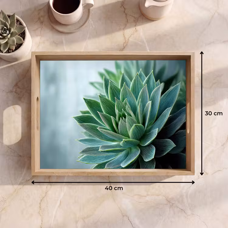 Vassoio - Succulente - Foglie - Verde - Sfumato — 7