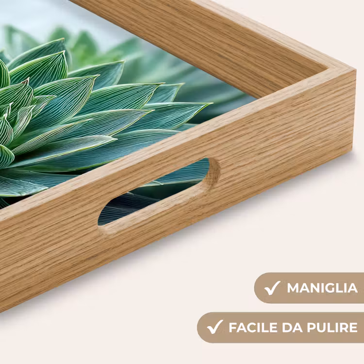 Vassoio - Succulente - Foglie - Verde - Sfumato — 8