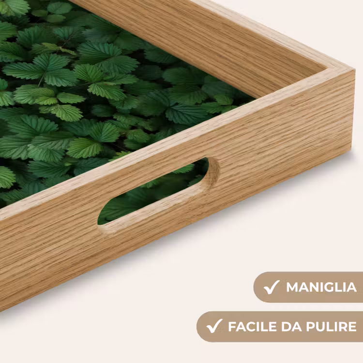 Vassoio - Verde - Foglia - Frastagliato - Luce solare — 8