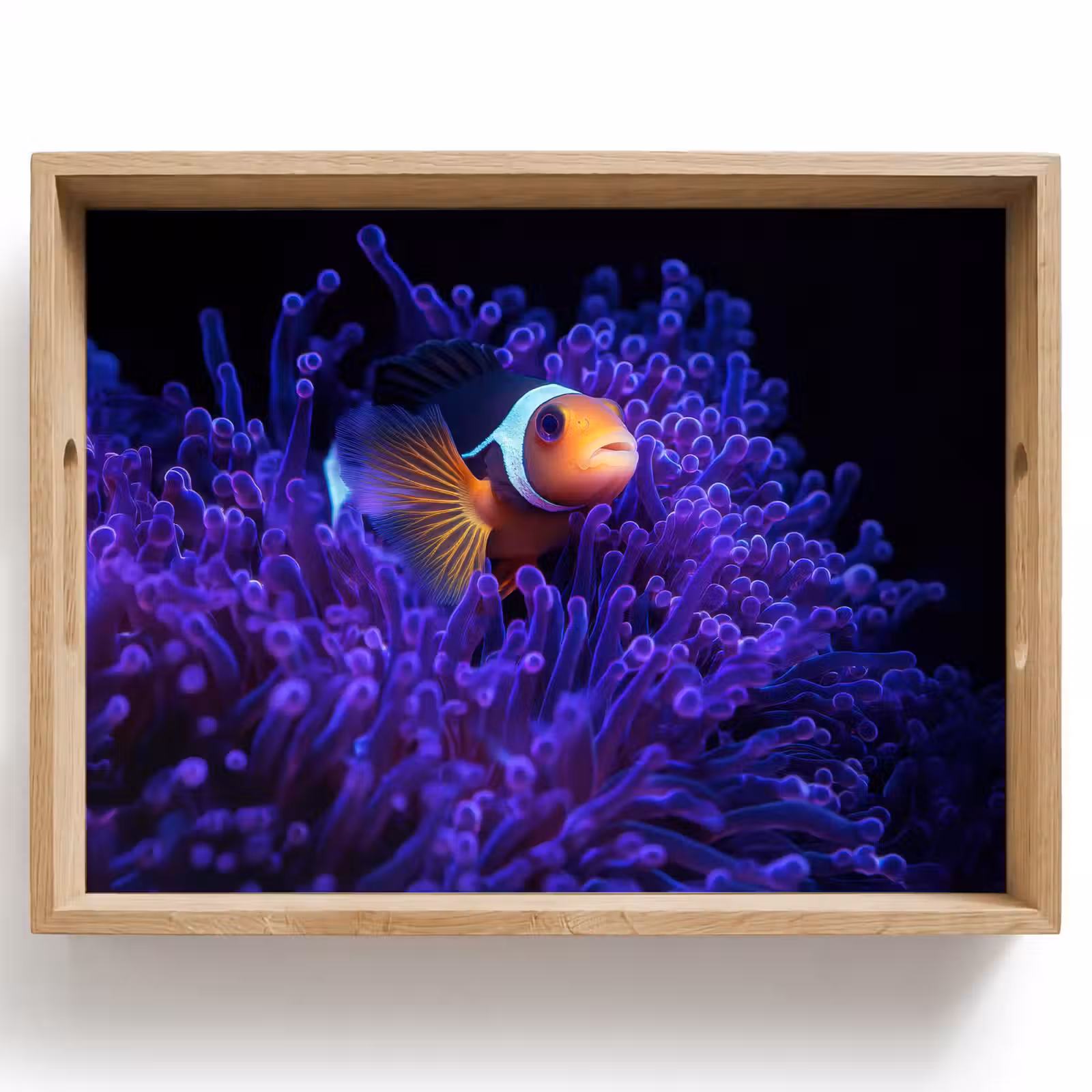 Vassoio - Corallo - Pesce - Arancione - Mare — 1