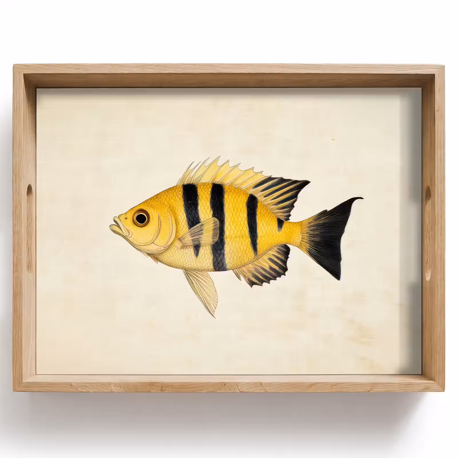 Vassoio - Giallo - Pesce - Strisce - Tropicale — 1