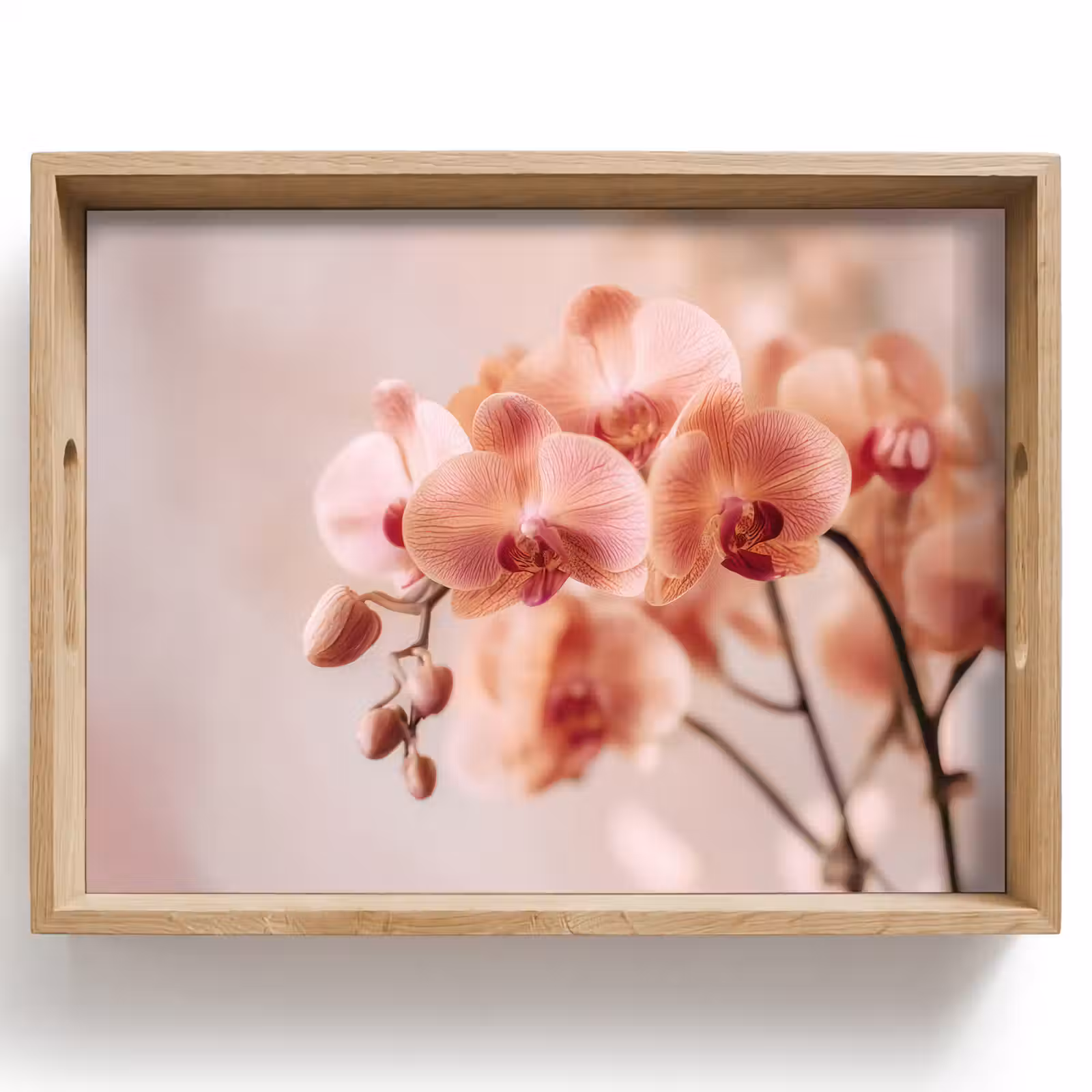 Vassoio - Orchidea - Fiori - Rosa - Petali — 1