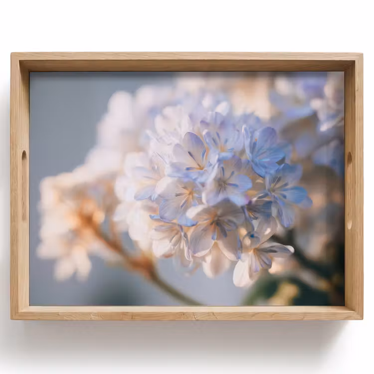 Vassoio - Fiori - Azzurro - Sfumato - Grappoli — 1