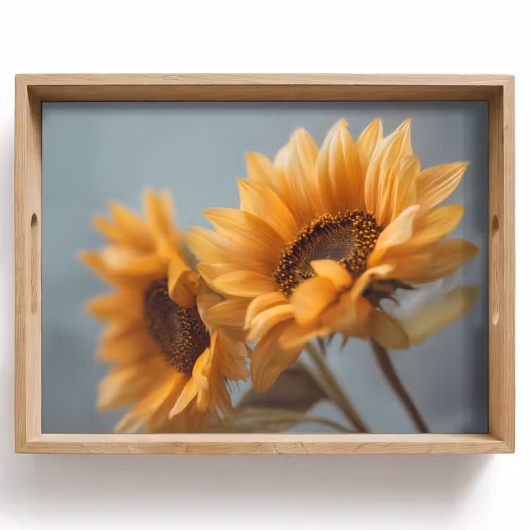 Vassoio - Girasoli - Giallo - Sfumato — 1