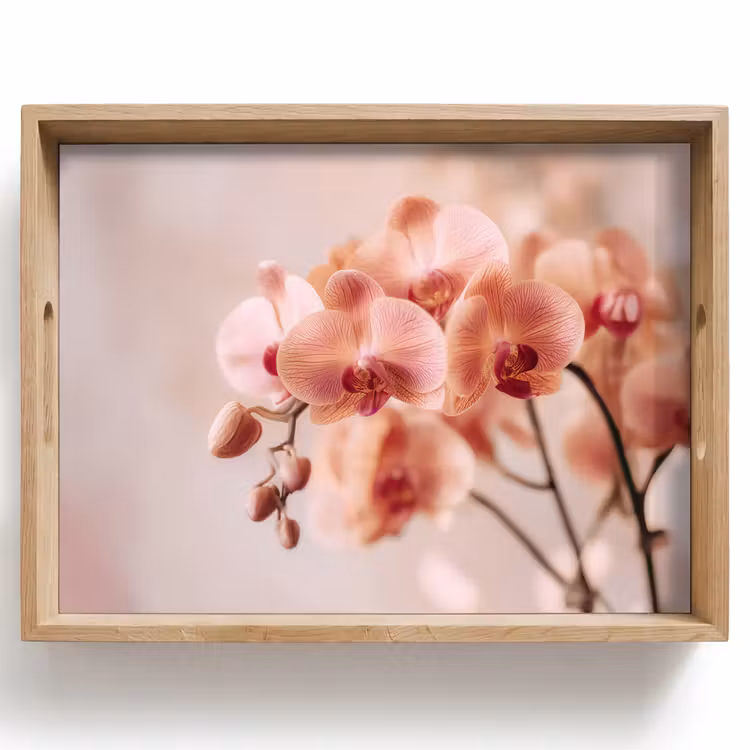 Vassoio - Orchidea - Fiori - Rosa - Petali — 1