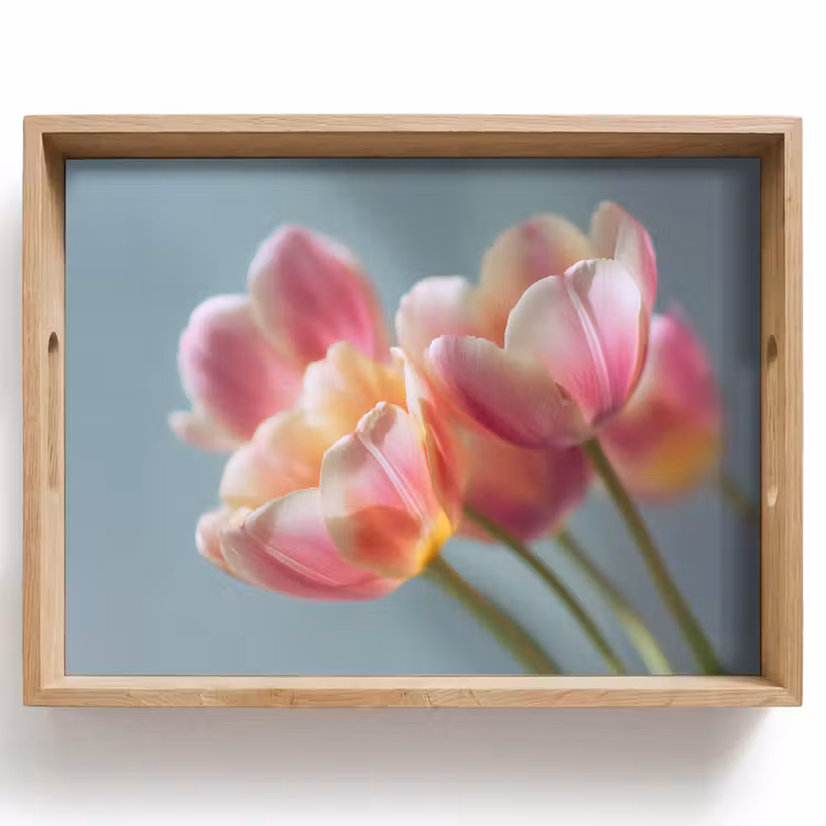 Vassoio - Tulipani - Rosa - Steli — 1