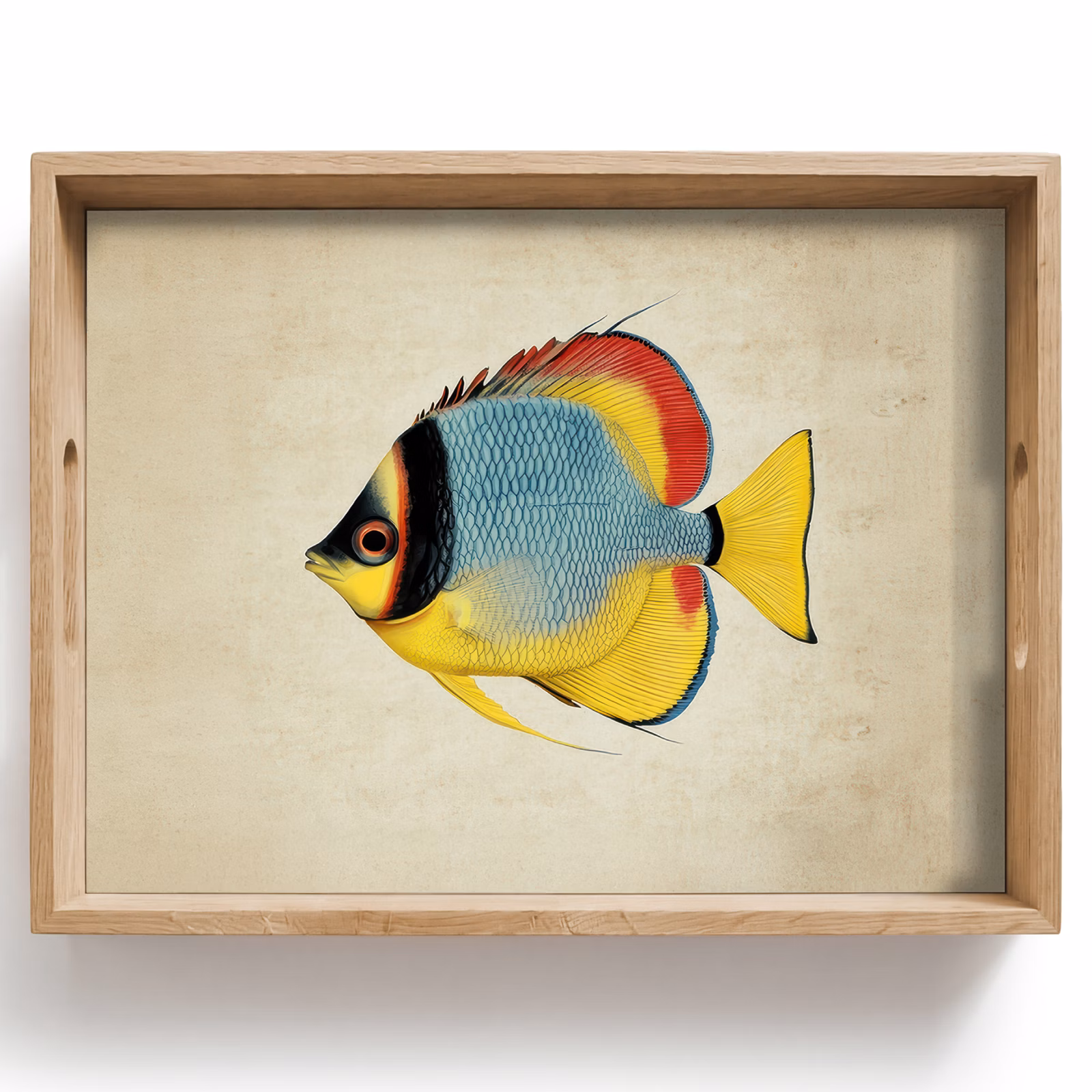 Vassoio - Colorato - Pesce - Squame - Illustrazione — 1
