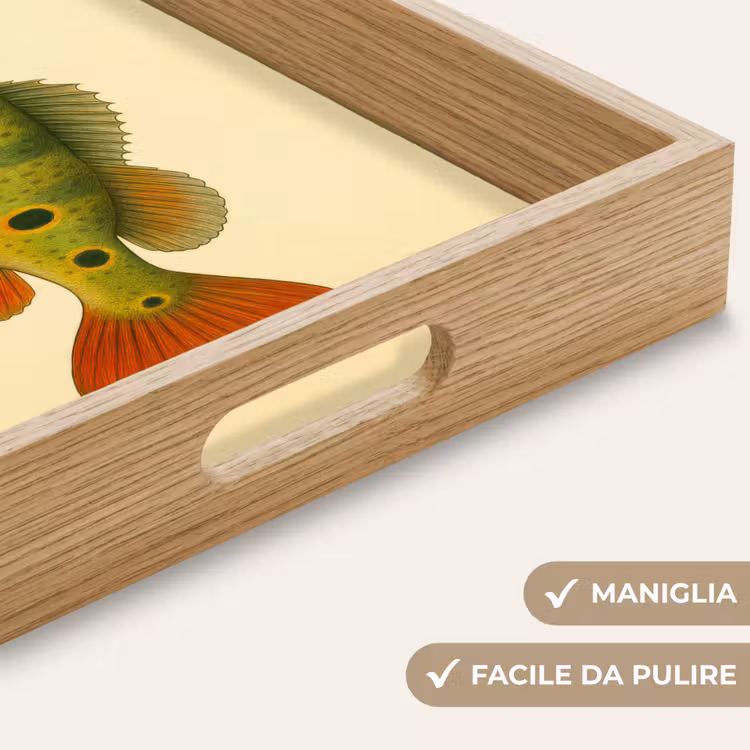 Vassoio - Squame - Pesce - Verde - Illustrazione — 8