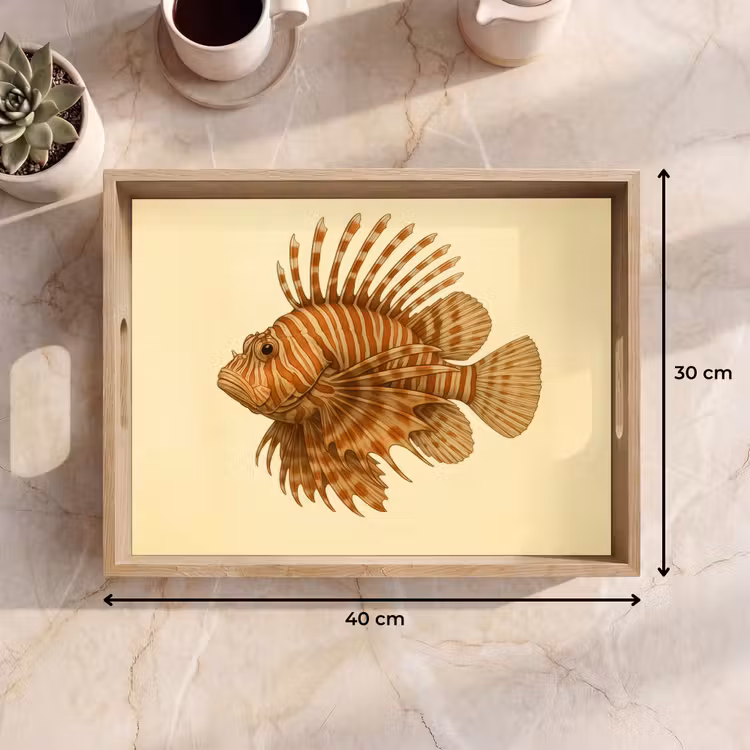 Vassoio - Strisce - Pesce - Rotondo - Spine — 7