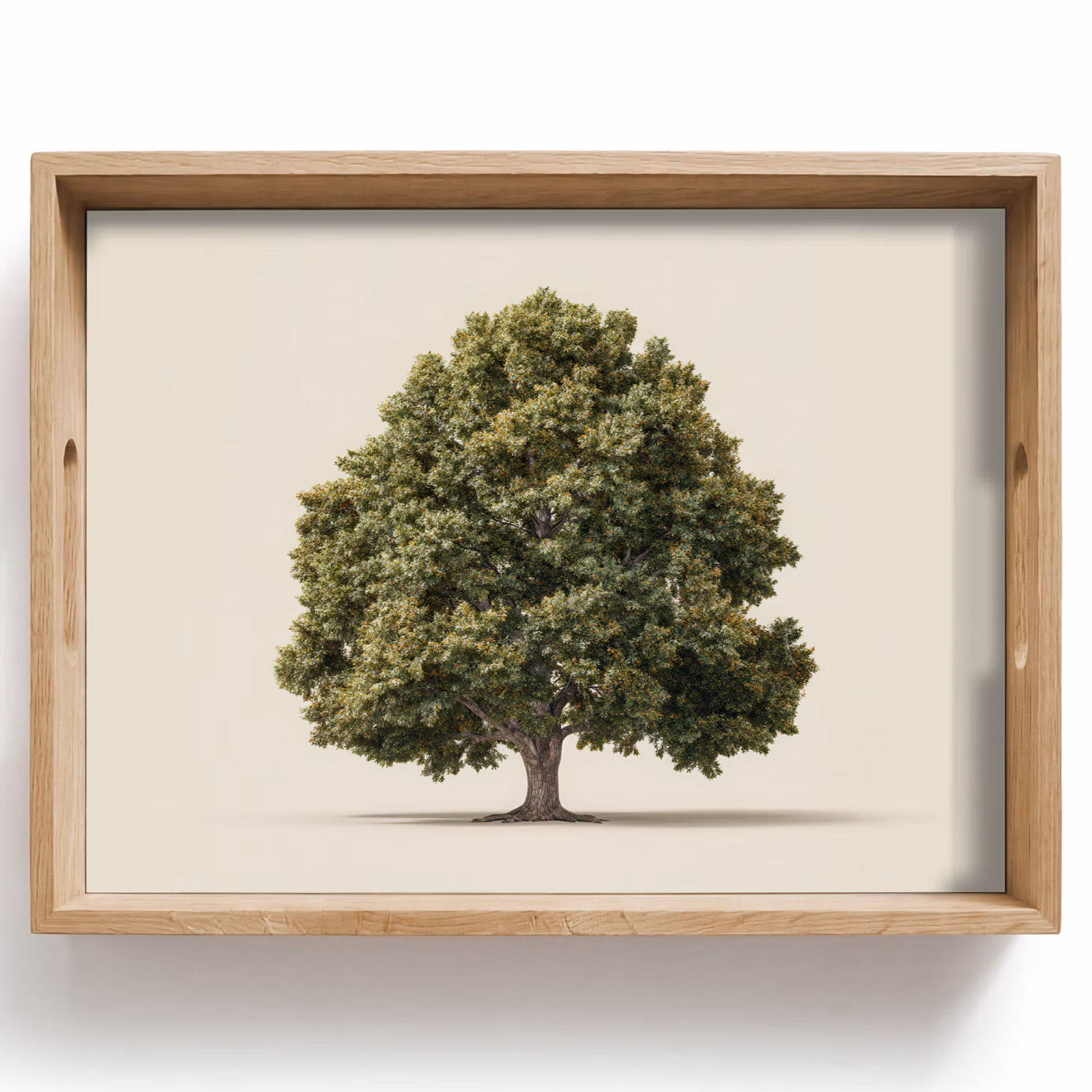 Vassoio - Albero di quercia - Verde - Sfondo chiaro — 1