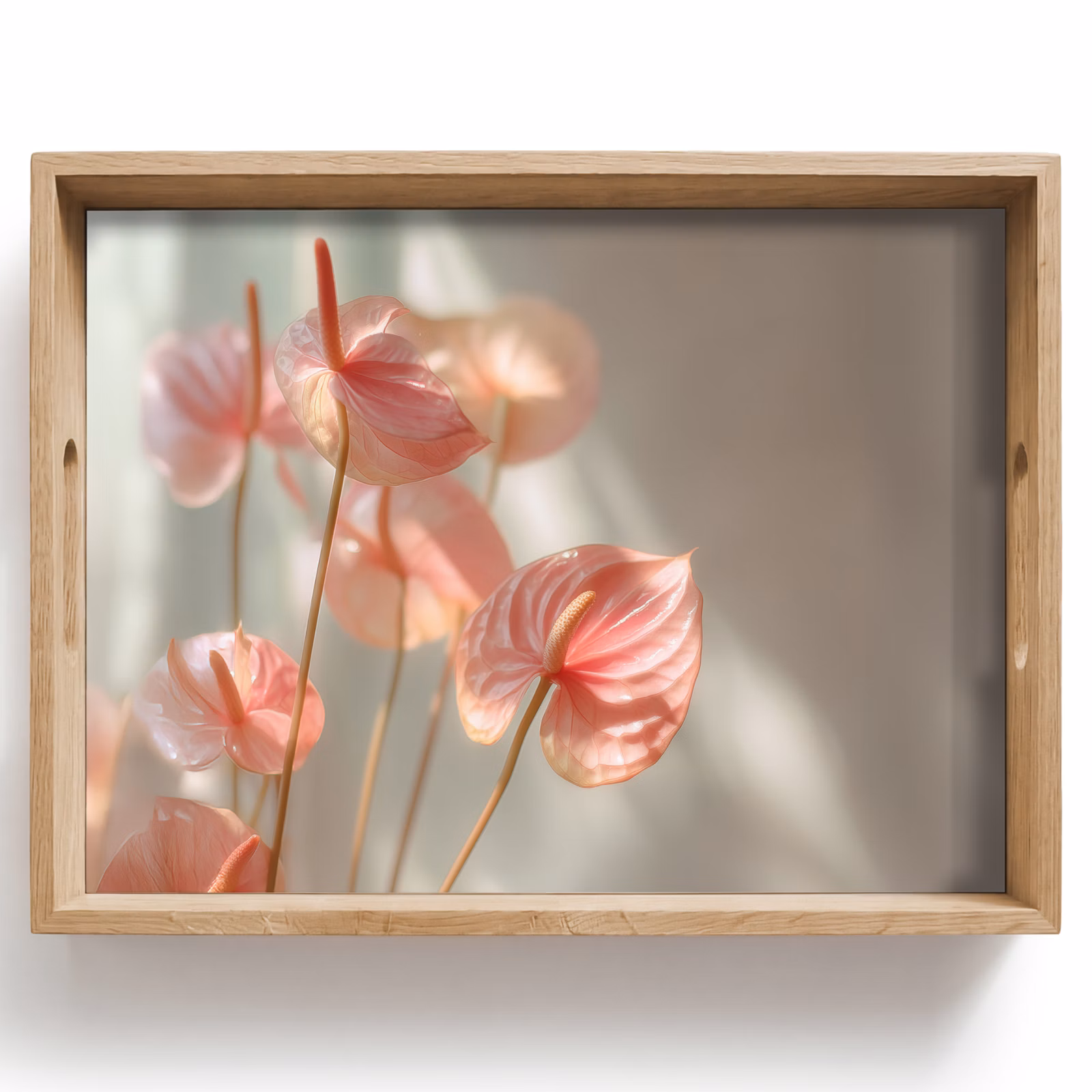 Vassoio - Fiori - Steli - Rosa - Ombra — 1