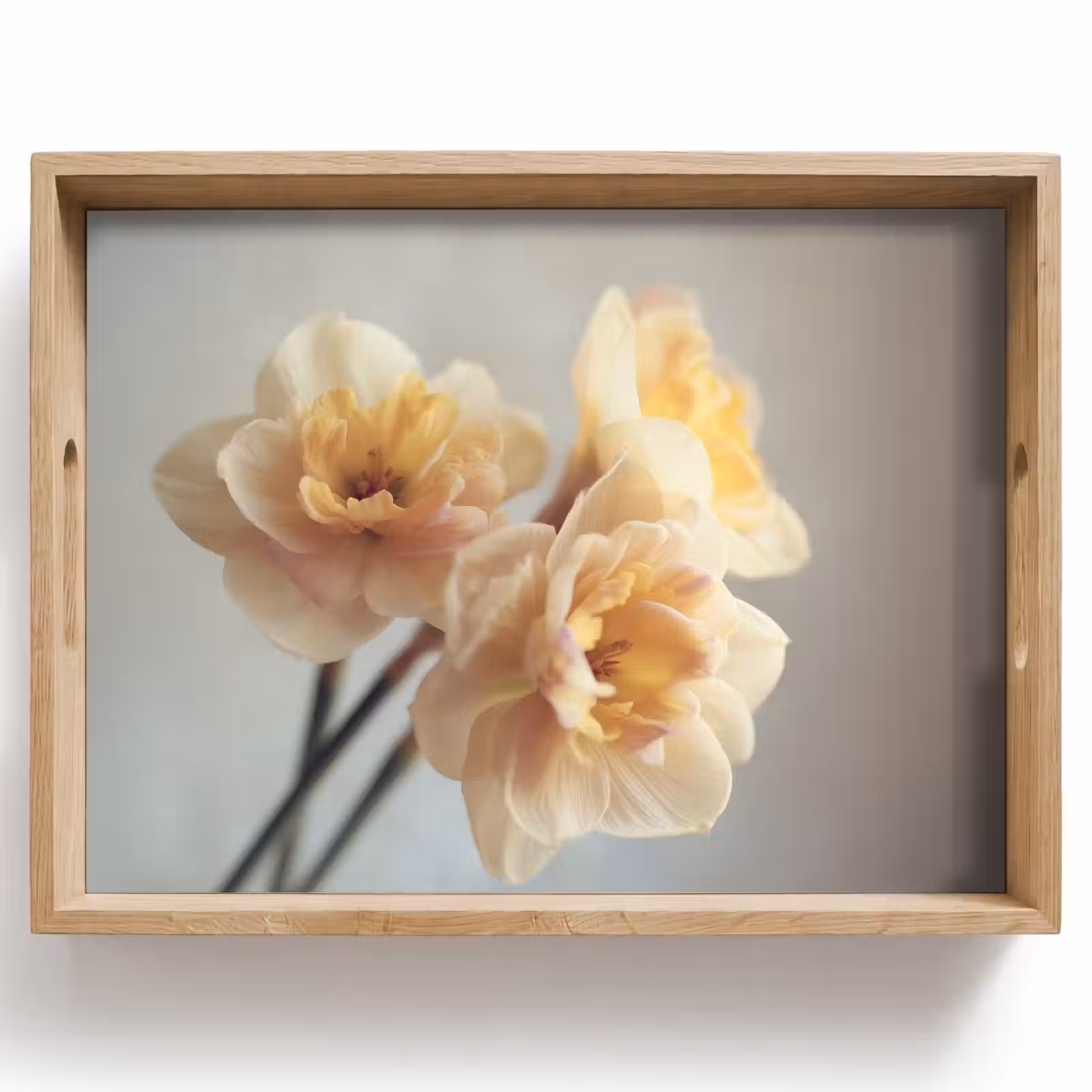 Vassoio - Narcisi - Giallo - Petali — 1