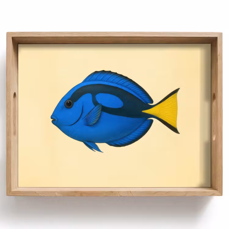 Vassoio - Blu - Dory - Pesce - Pinna di coda — 1