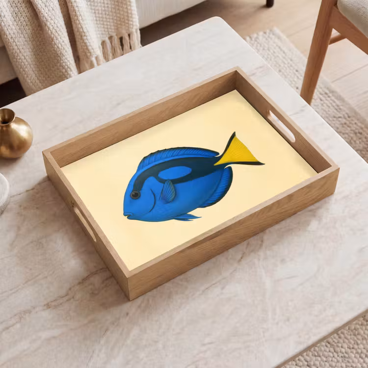 Vassoio - Blu - Dory - Pesce - Pinna di coda — 2
