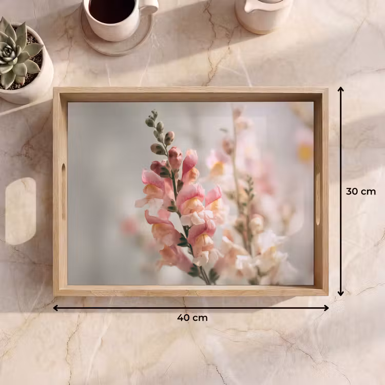 Vassoio - Fiore - Snapdragon - Rosa - Stelo — 7