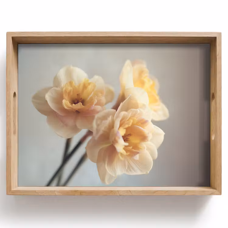 Vassoio - Narcisi - Giallo - Petali — 1