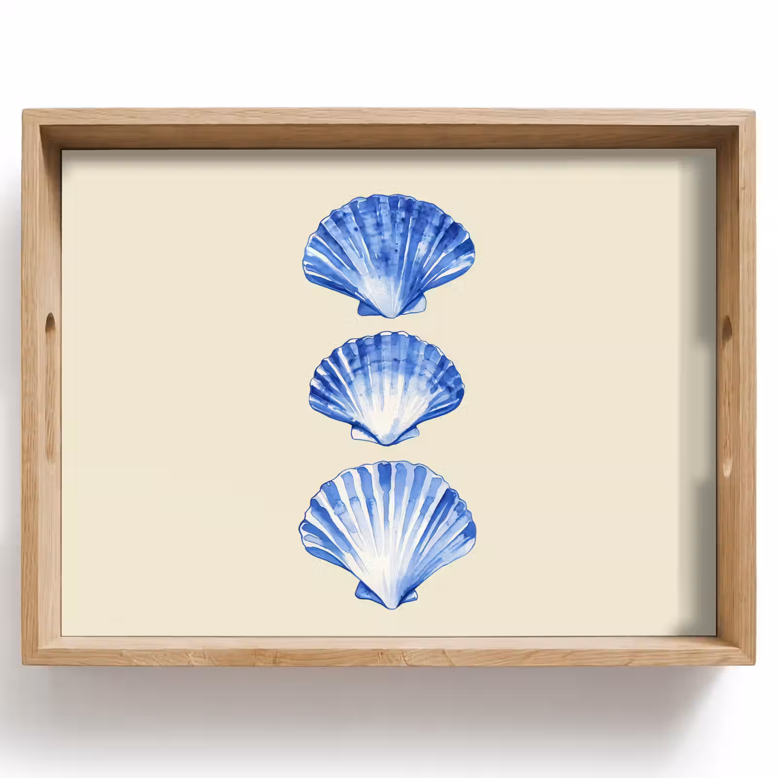 Vassoio - Conchiglie - Blu - Beige — 1