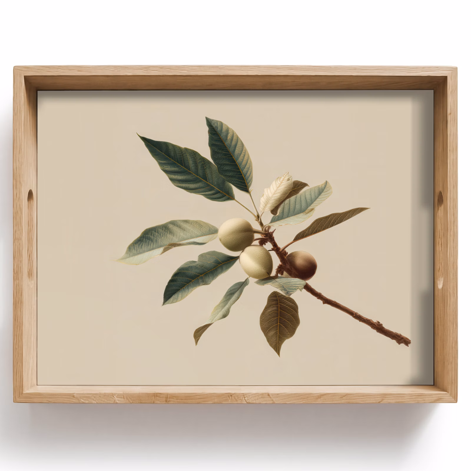 Vassoio - Ramo - Foglie verdi - Frutti — 1