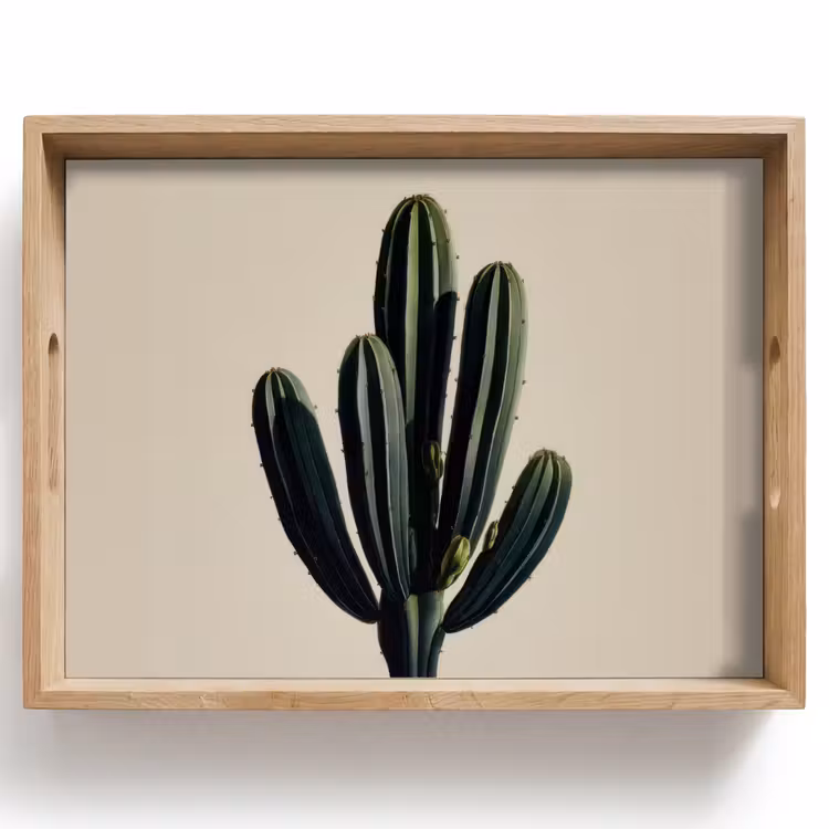 Vassoio - Cactus - Sottile - Verde — 1