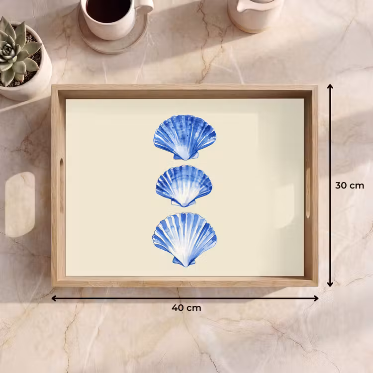 Vassoio - Conchiglie - Blu - Beige — 7