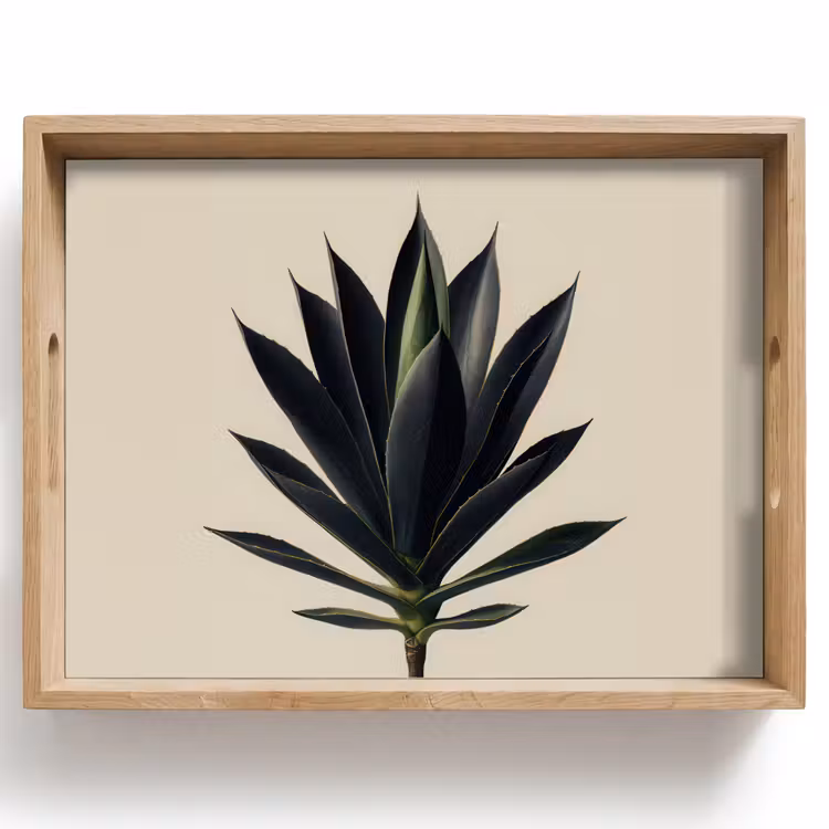 Vassoio - Pianta di agave - Simmetrica - Verde — 1