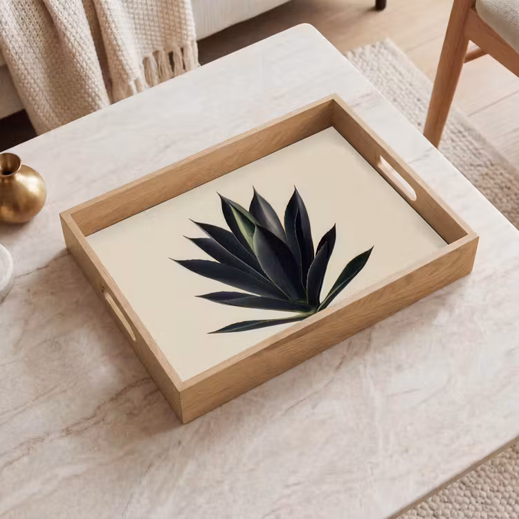 Vassoio - Pianta di agave - Simmetrica - Verde — 2
