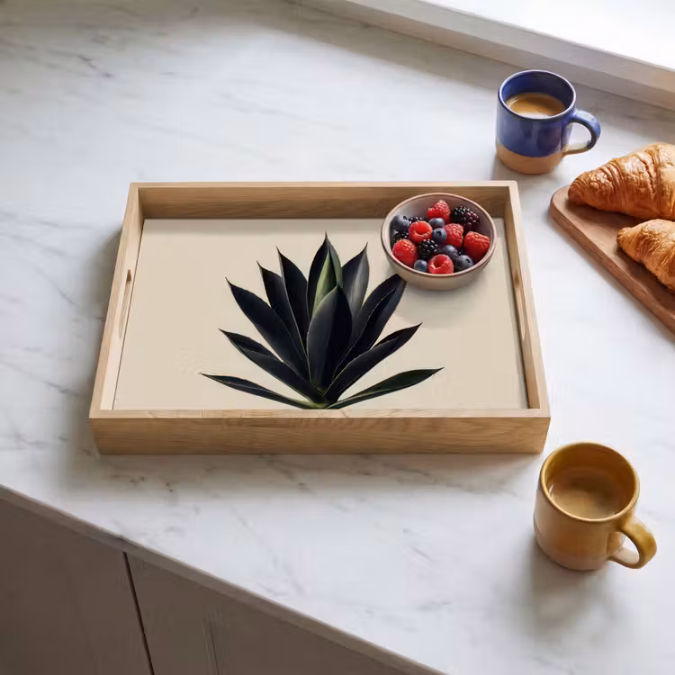 Vassoio - Pianta di agave - Simmetrica - Verde — 3