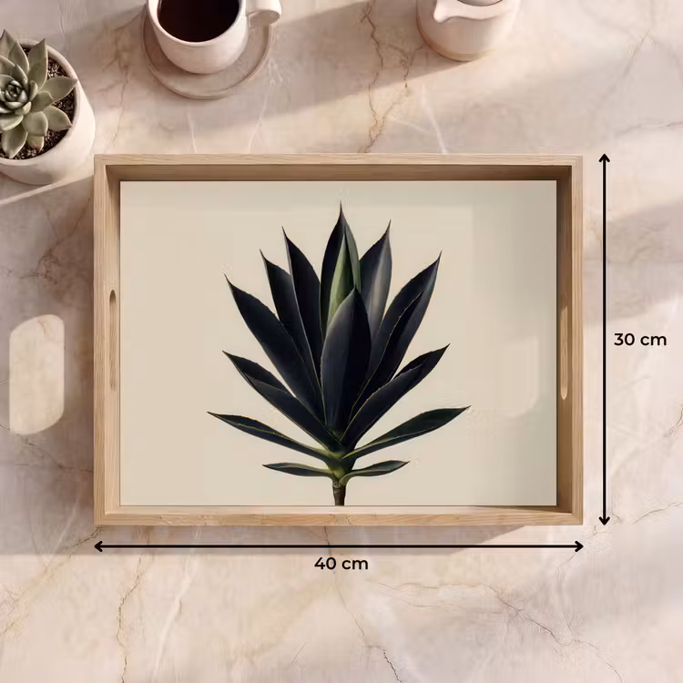 Vassoio - Pianta di agave - Simmetrica - Verde — 7
