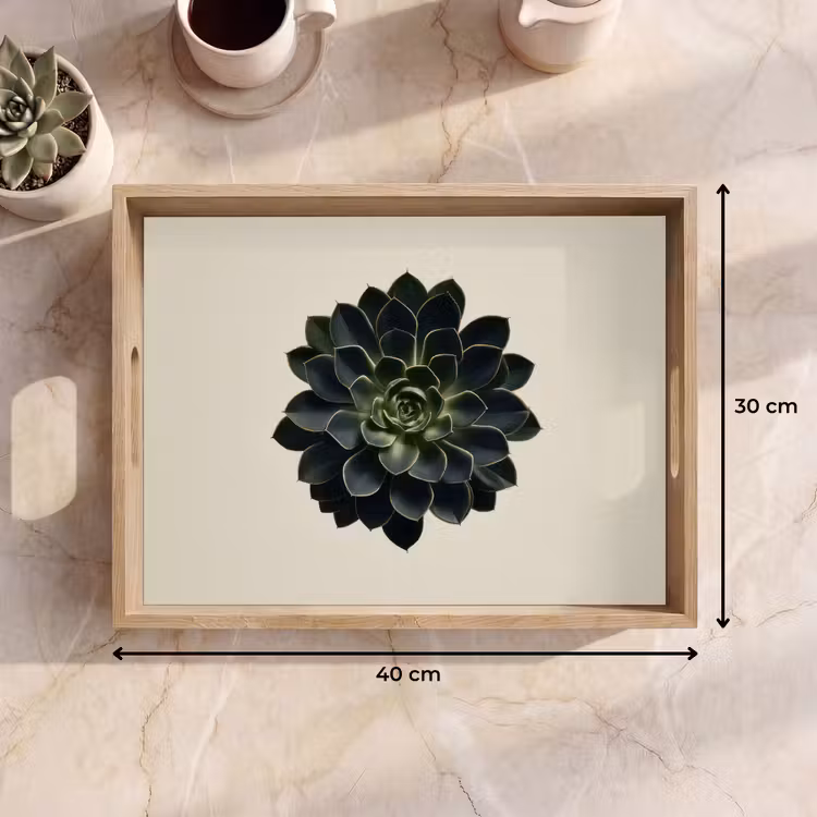 Vassoio - Rosone - Circolare - Verde scuro — 7