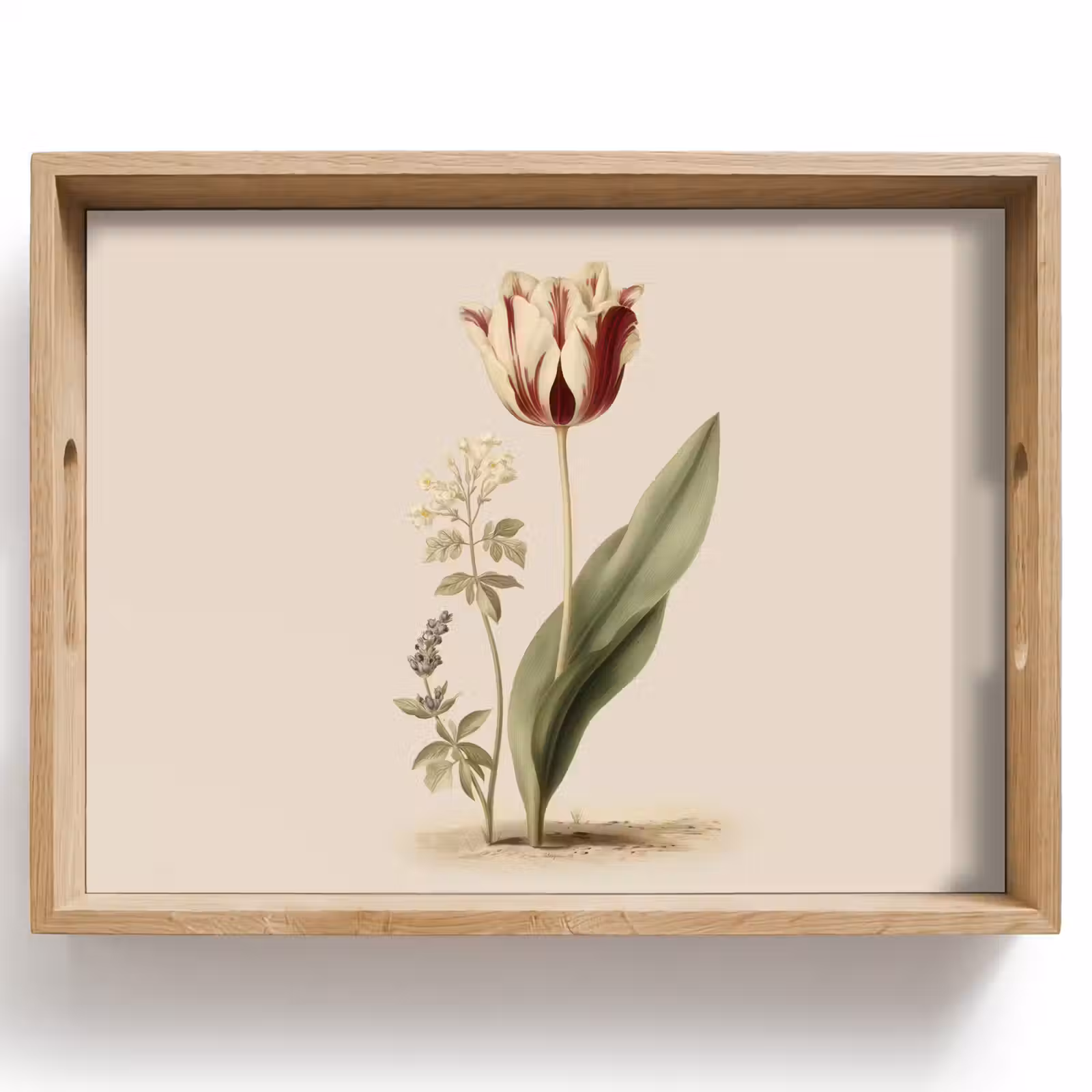 Vassoio - Tulipano - Minimalista - Beige — 1