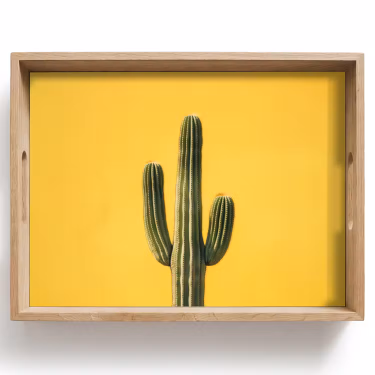 Vassoio - Cactus - Verde - Minimalista — 1