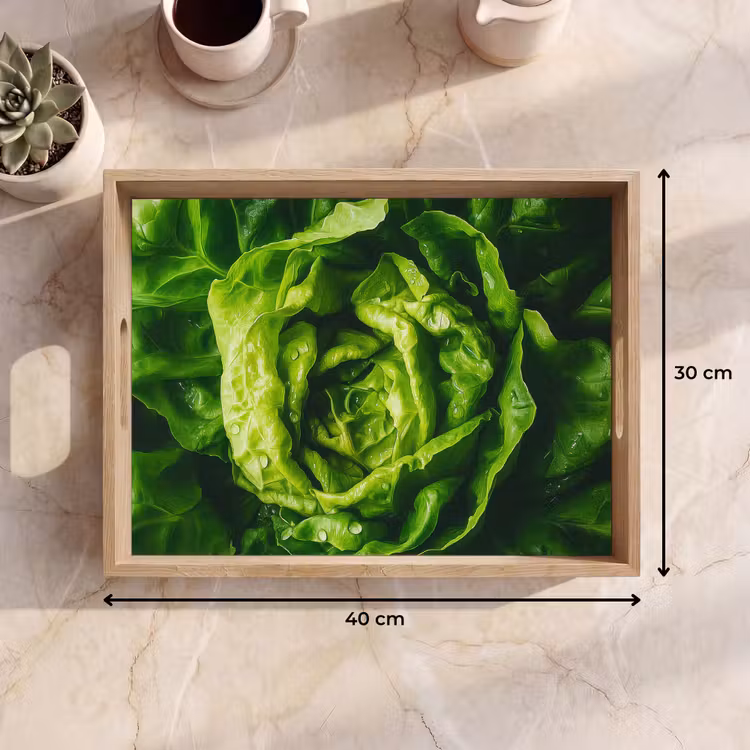 Vassoio - Verdure - Lattuga - Verde — 7