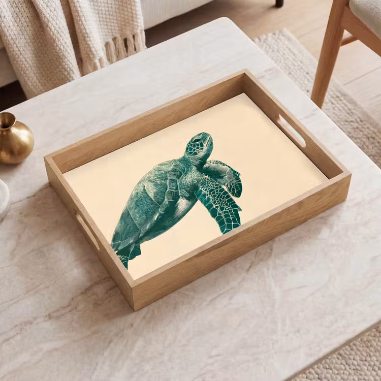 Vassoio - Tartaruga - Elegante - Verde - Scudo — 2
