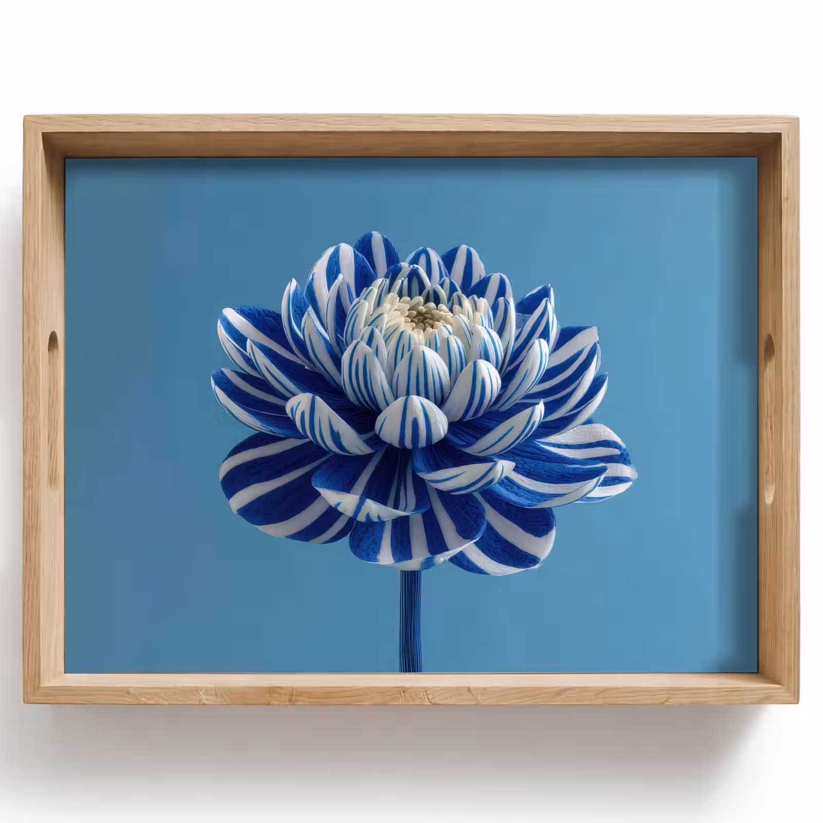 Vassoio - Fiore - Blu - Petali - Strisce — 1