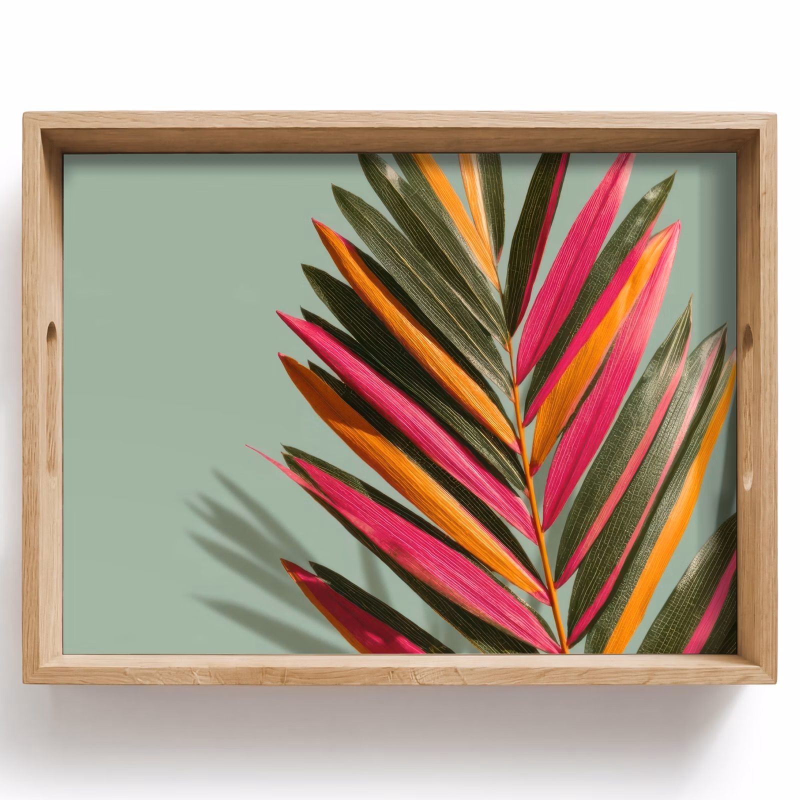 Vassoio - Ramo - Foglie - Colorato - Ombra — 1