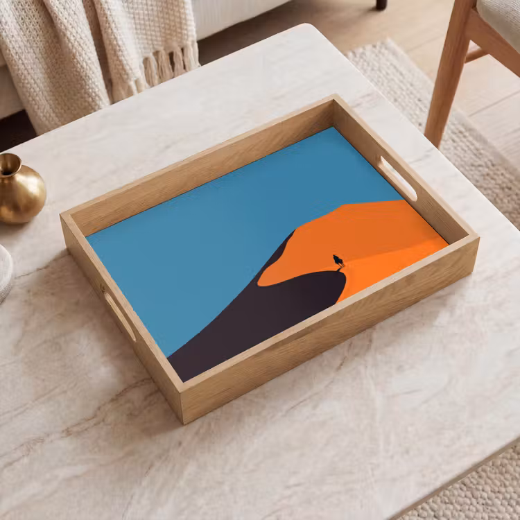 Vassoio - Dune arancioni - Ombra - Cielo vuoto — 2
