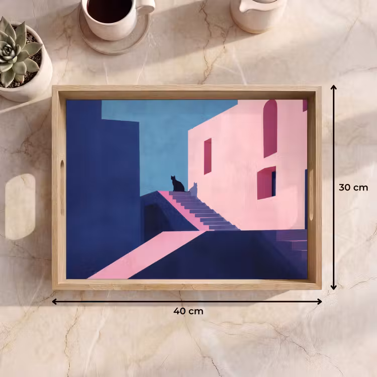 Vassoio - Gatto - Scale - Edifici - Contrasti d'ombra — 7