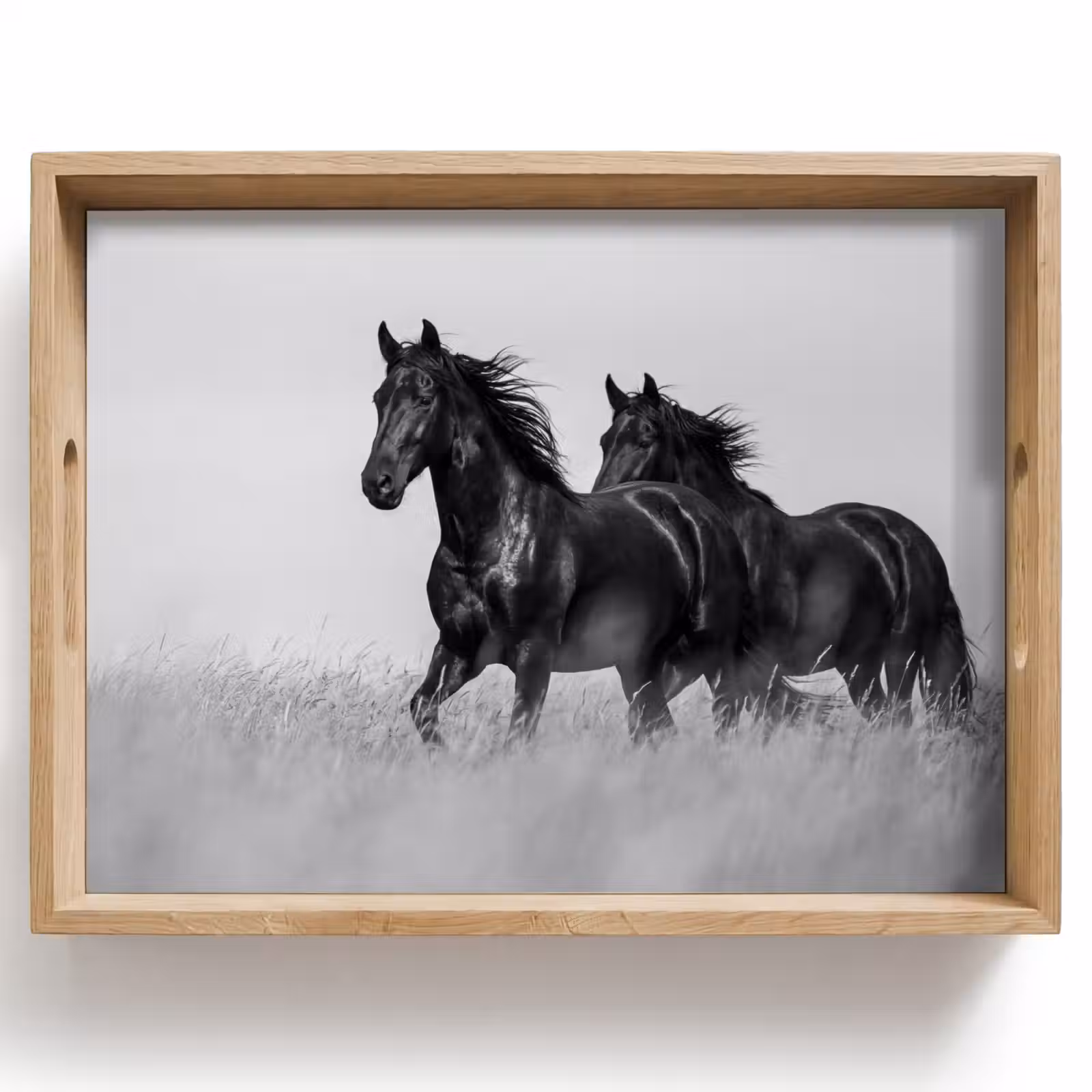 Vassoio - Cavalli - Erba - Nero - Bianco — 1