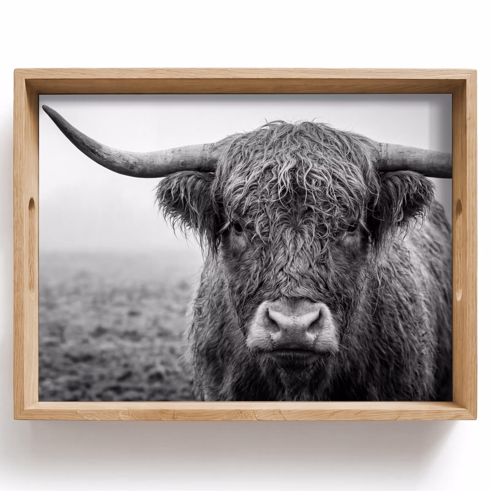 Vassoio - Highlander scozzese - Nero - Bianco - Erba — 1